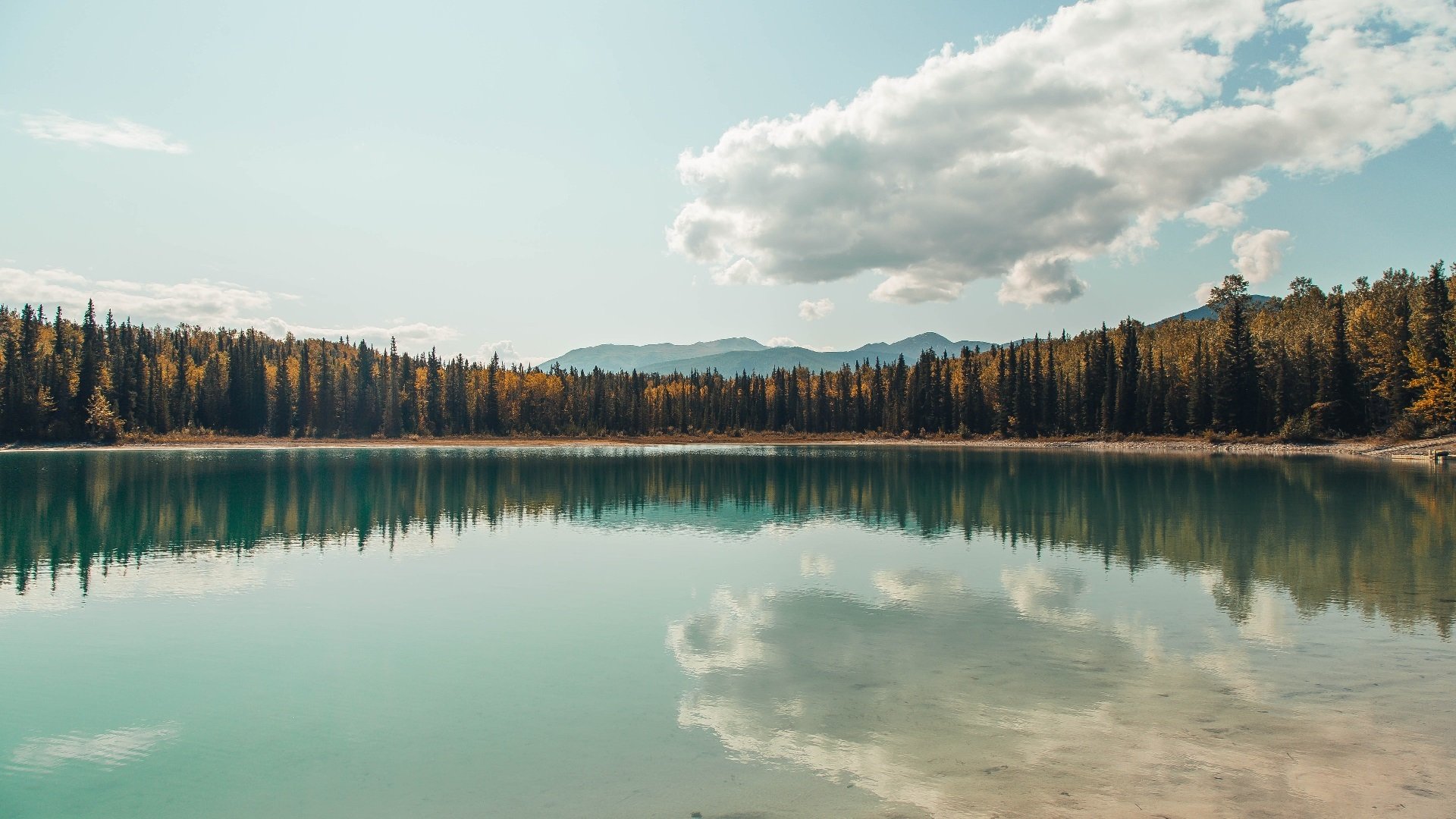 B体育亚洲官方网站-《物联网技术赋能：打造智慧电竞生态》，物联网+技术