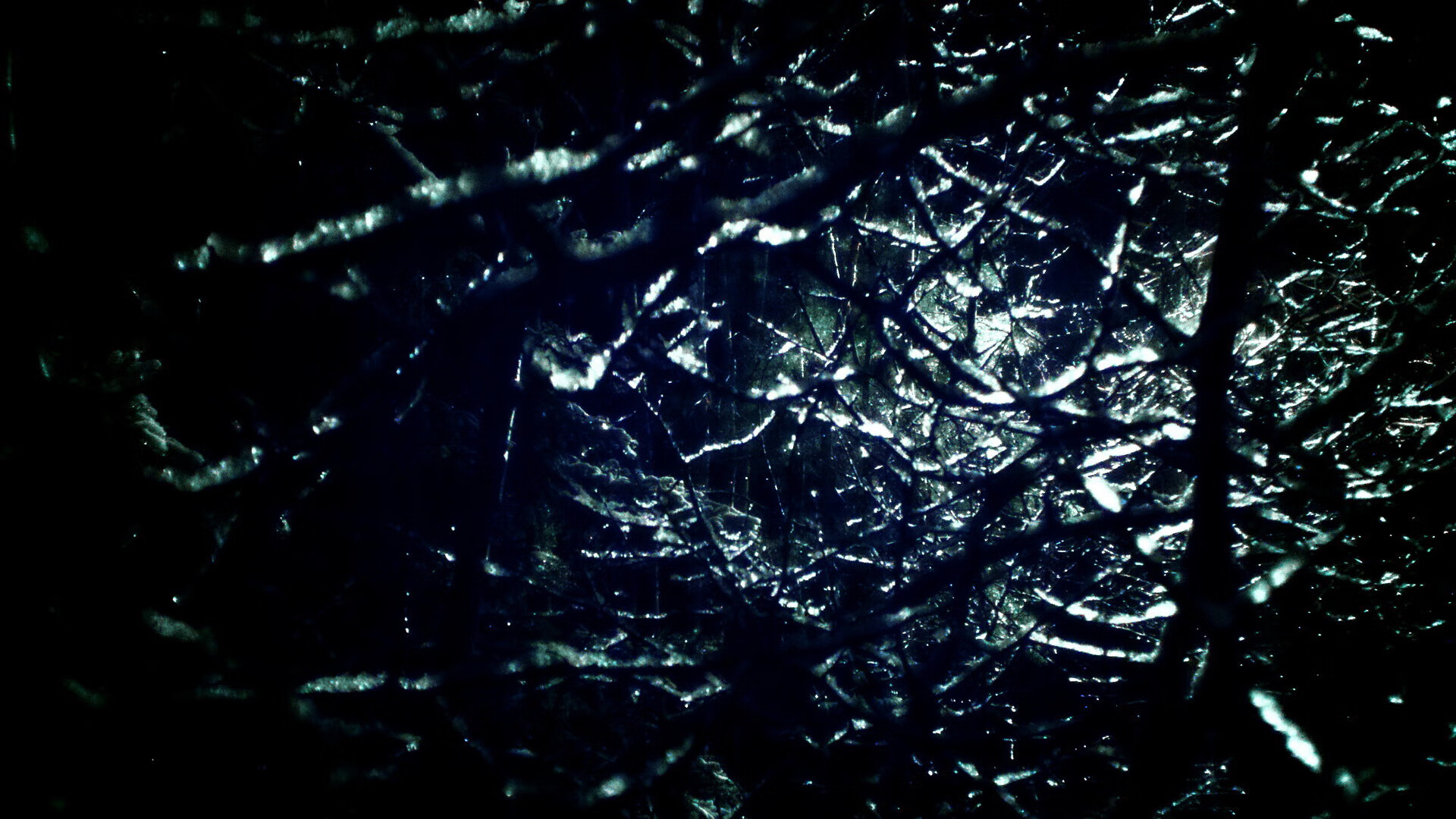 B体育下载-【费城费城人队的坚韧】伤兵满营依旧坚不可摧，费城是啥