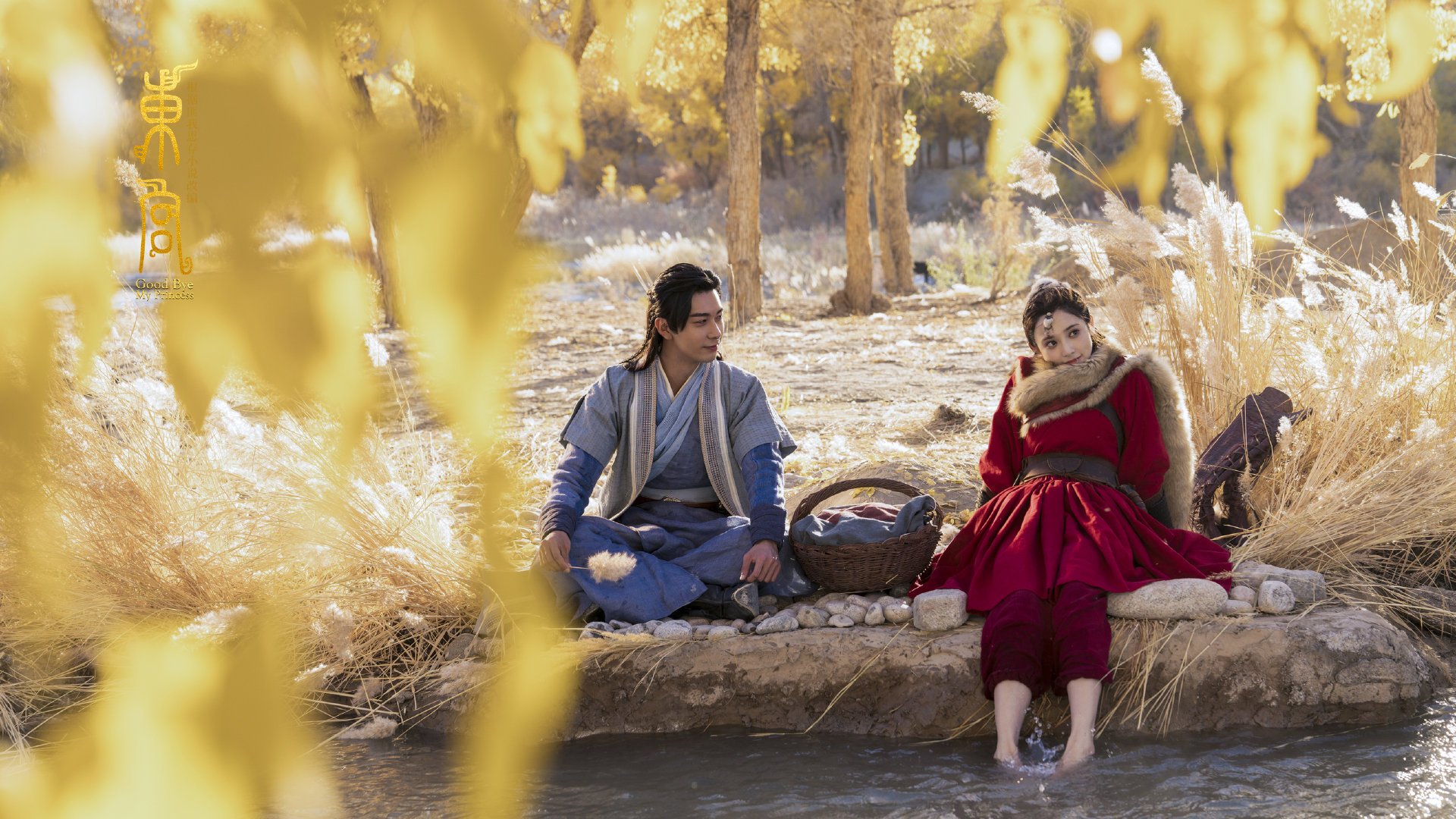 安全措施升级:保障车手生命安全的每一步,确保车辆安全运行