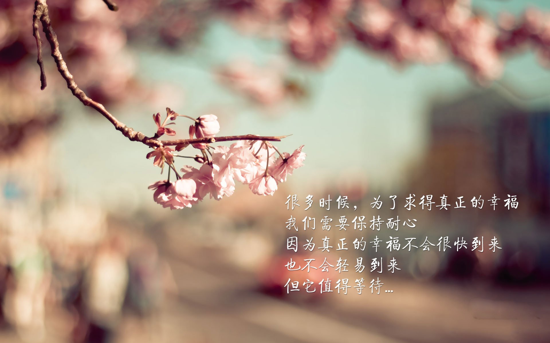 b体育app-曝阿根廷队内团结气氛浓厚，阿根廷队的队员