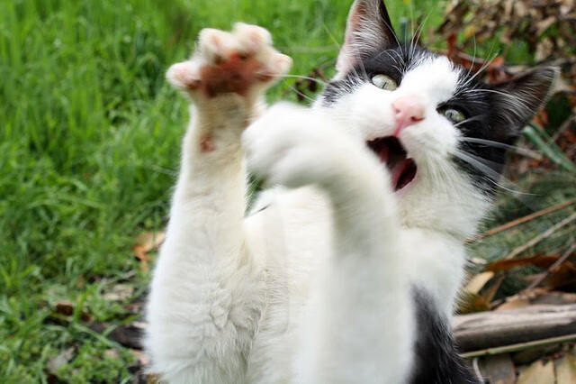 青少年篮球“梦想擂台”公益赛在南京火热开启，南京青少年篮球俱乐部