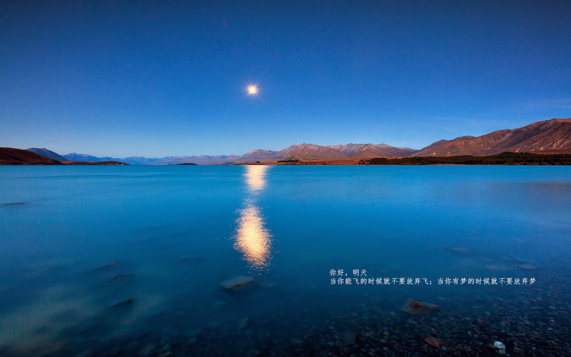 b体育官方网站-东契奇无解表现继续统治赛场，东契奇这么强