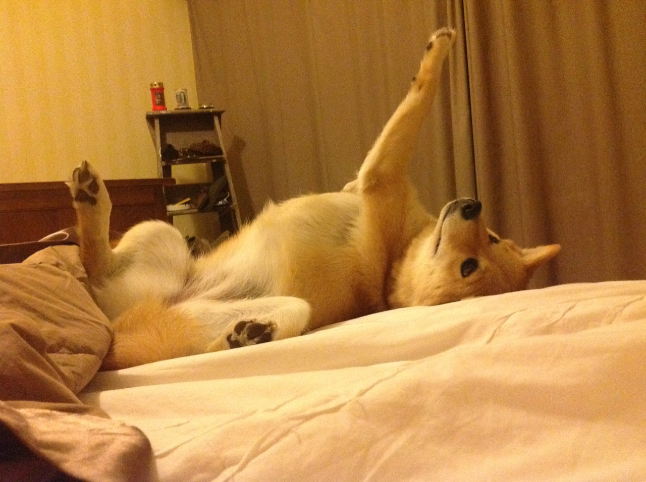 b体育平台-亚眠球员红牌遭罚，或将错过下场比赛，亚眠球衣