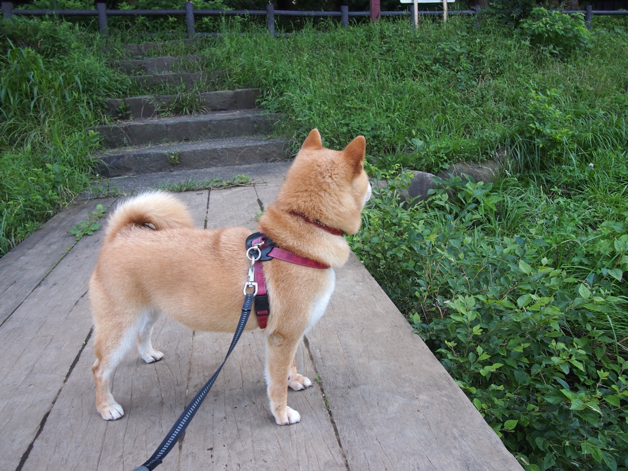 B体育下载-亚眠球员被曝受伤，或将缺席接下来的比赛，亚眠足球俱乐部