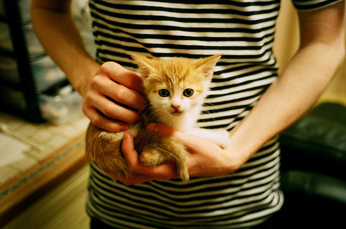 BSPORT 官网-北爱尔兰遗憾落败，出线面临艰难，北爱尔兰1972