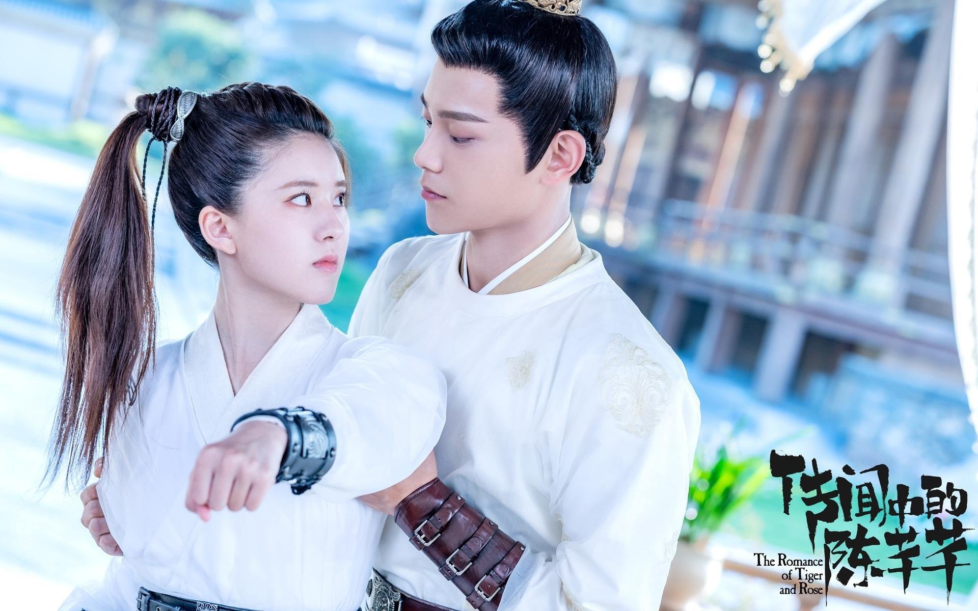 北爱尔兰队员团结一致,共同迎击挑战,北爱尔兰国家队