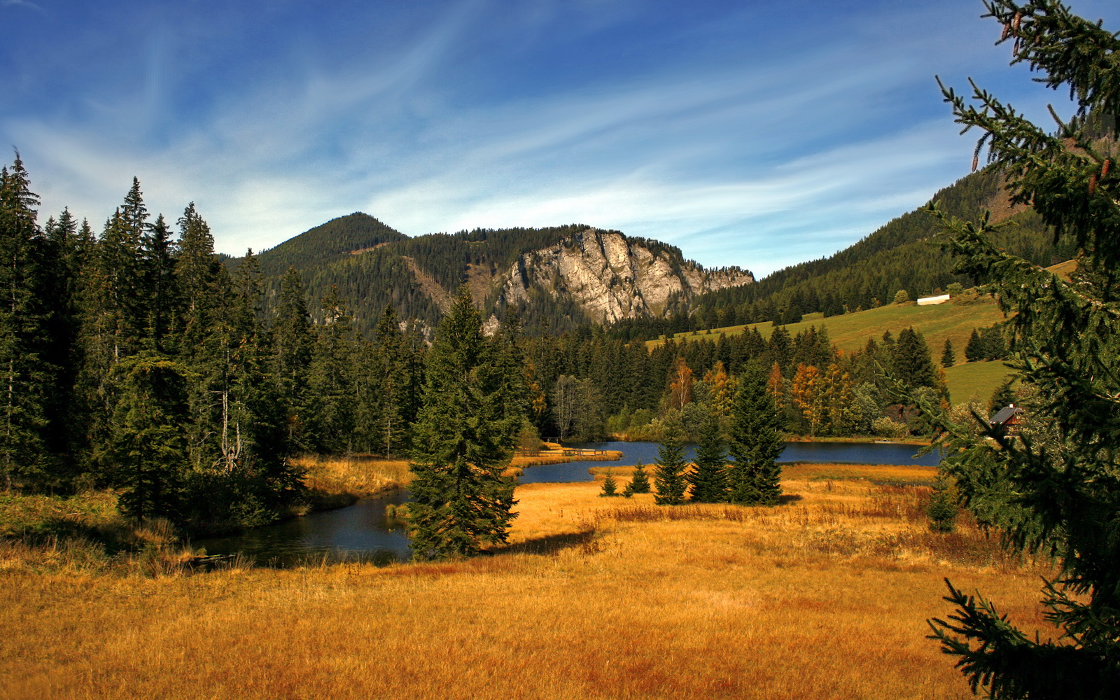 b体育(sports)官方网站-山东鲁能目前状态正佳，期待下一场较量，山东鲁能官宣