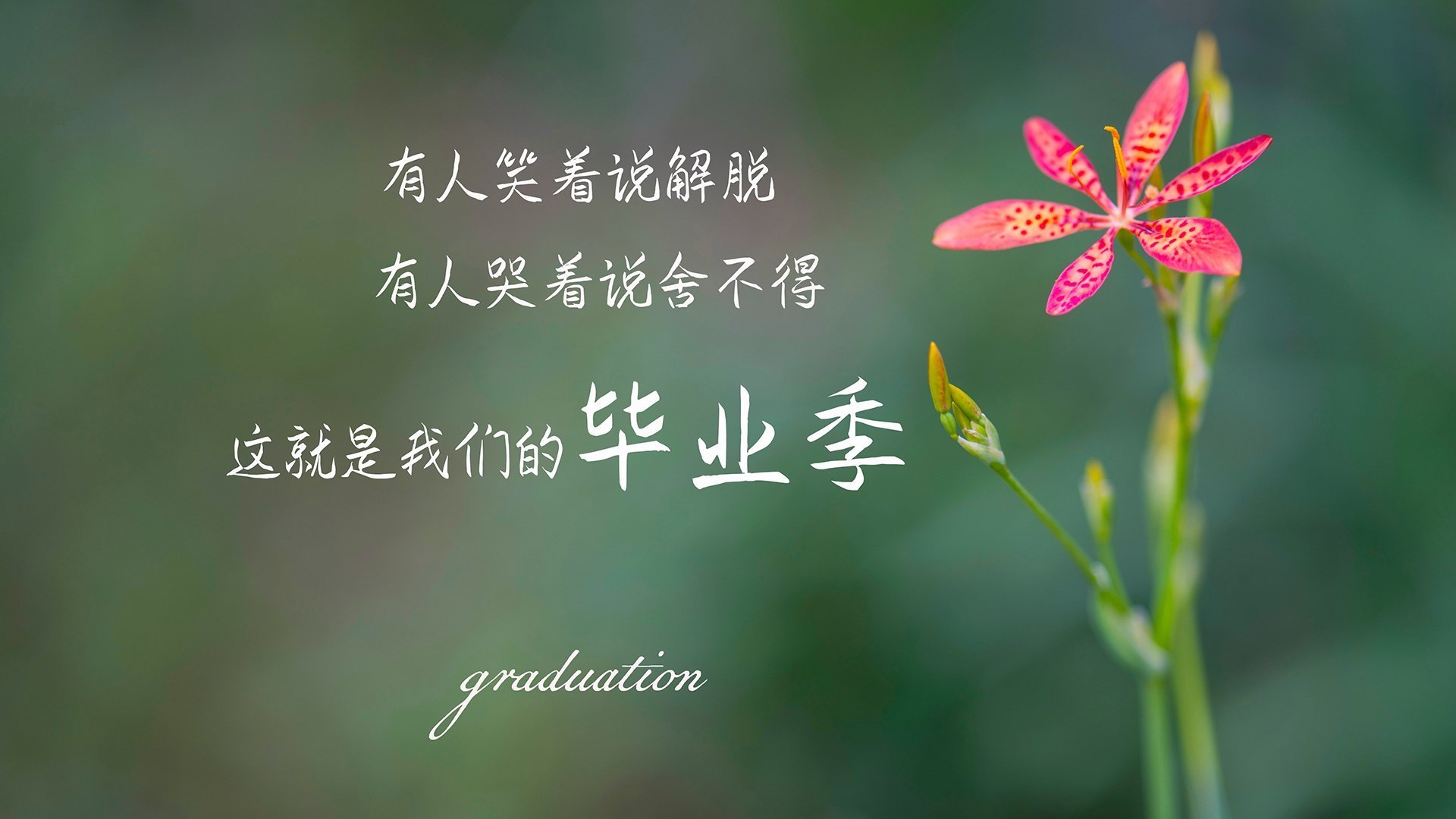 电竞电竞赛事风险管理体系构建及安全防护技术应用,电竞赛事风险预案