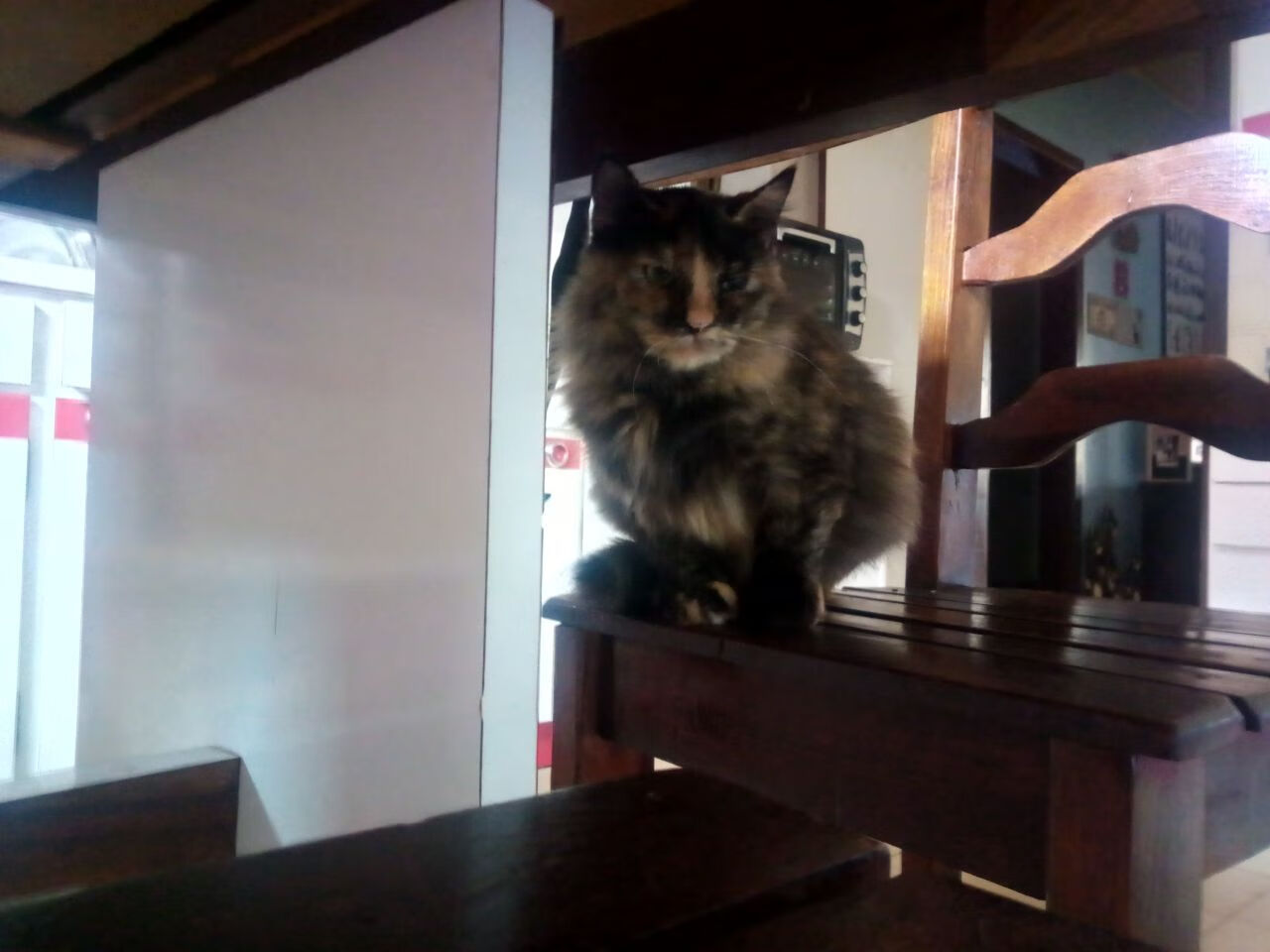 b体育直播-马来西亚女足表现稳定，小组出线，马来西亚足协