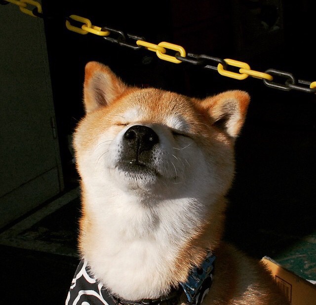 NBA球队健康管理体系,nba的健康和安全协议是什么