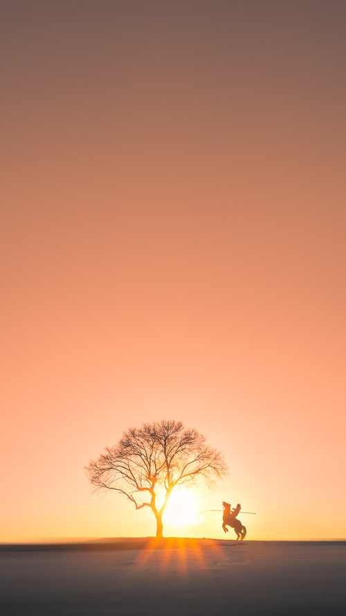 中国篮球青训体系建设与发展策略,中国篮球青训体系建设与发展策略分析