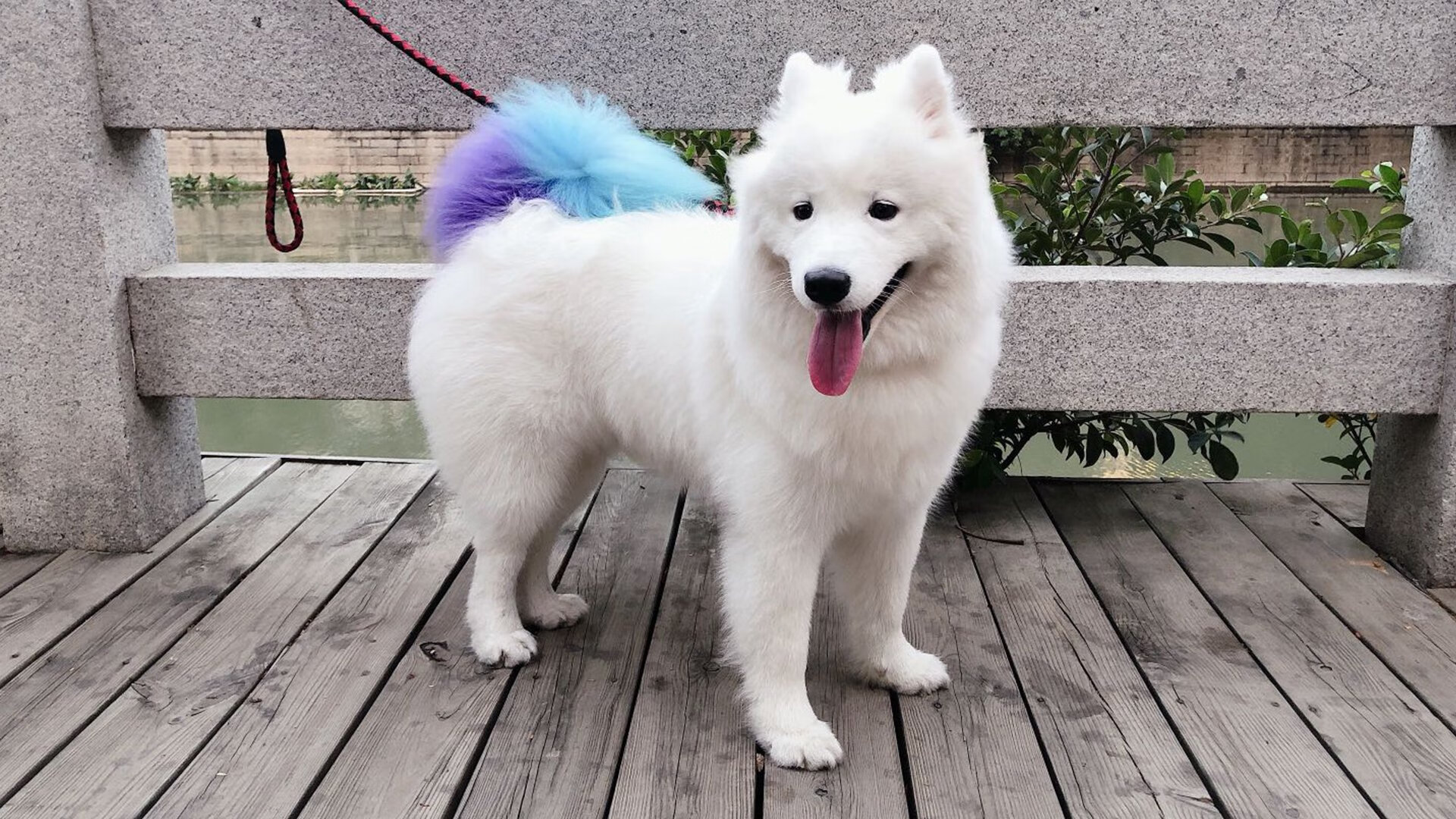 体教融合视角下的校内竞赛体系构建方案,学校体教融合经验交流材料