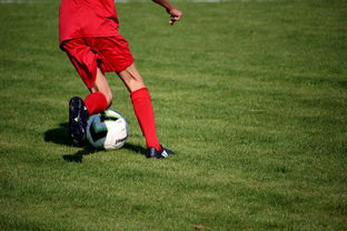 b体育网站注册-法甲营养恢复系统提升球员赛季稳定性调查