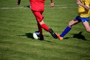 b体育娱乐-篮球训练计划科学制定与执行效果评估，篮球训练计划制定与范例