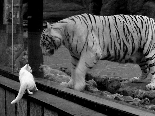 英超球队结合运动生理数据优化恢复周期,英超球队训练时间