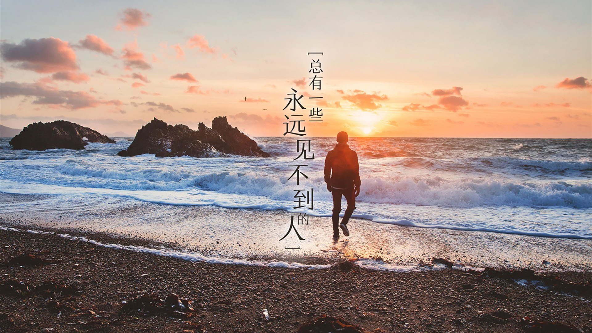 高校体育场馆运营管理创新模式研究与应用,高校体育场馆对外开放的意义