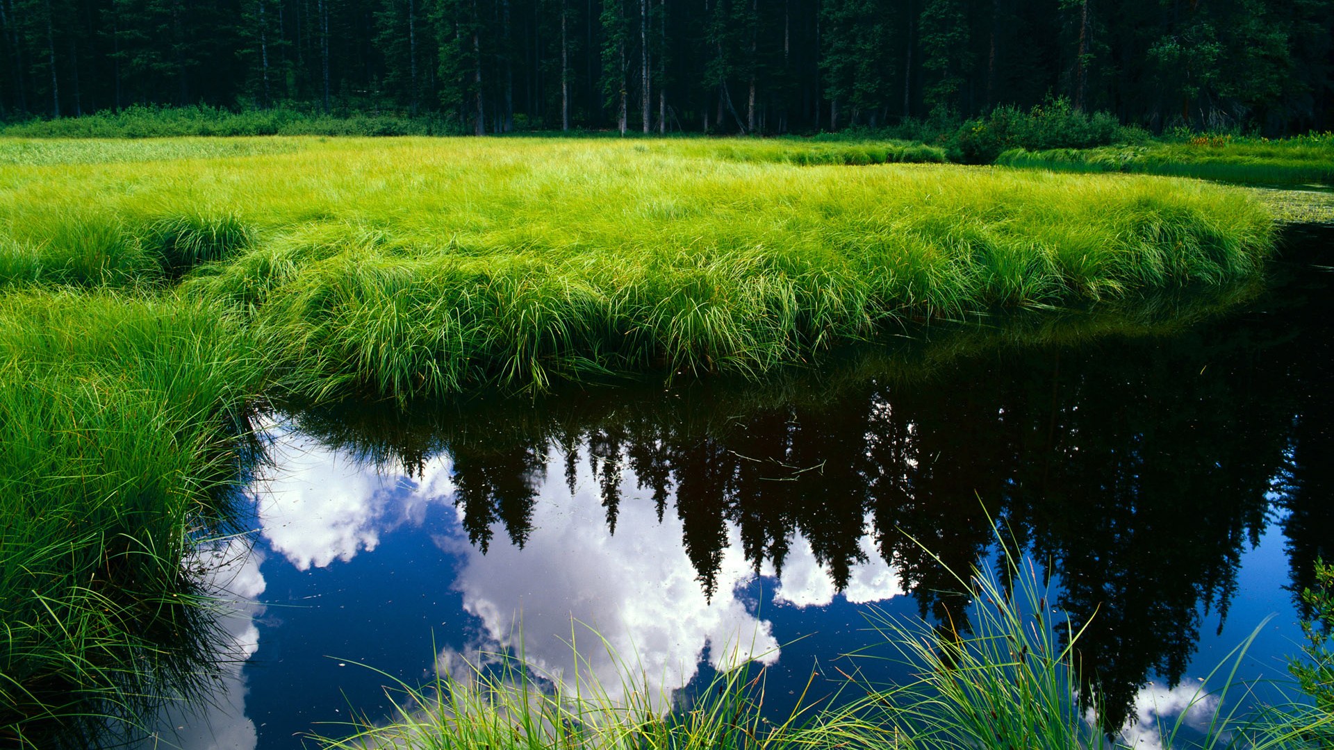 PSG年轻球员成长空间巨大,psg队员名单