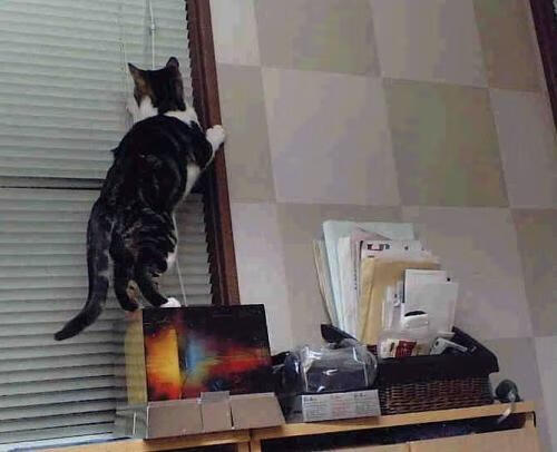 b体育电竞-国家队战术执行为何频繁出现失误，国家队战术执行为何频繁出现失误现象