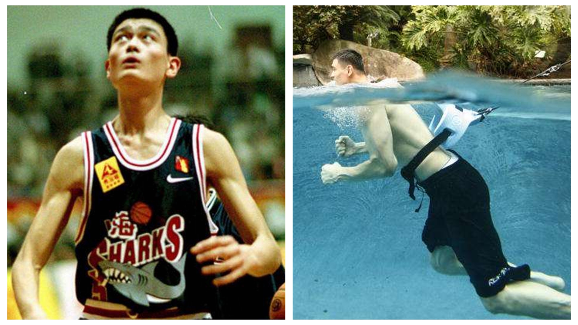 NBA球员的饮食与营养 NBA球员的饮食与营养